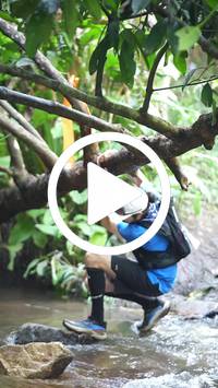 BIB:  <button type="button" onclick="openModal(27824344)" class="btn btn-primary btn-sm float-right" data-toggle="modal" data-target=".modal-high-quality">
                <i class="fa fa-download"></i> Download
                </button>